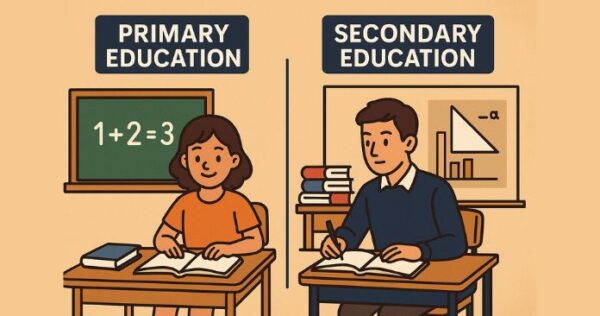 The Key Differences between Primary & Secondary Education